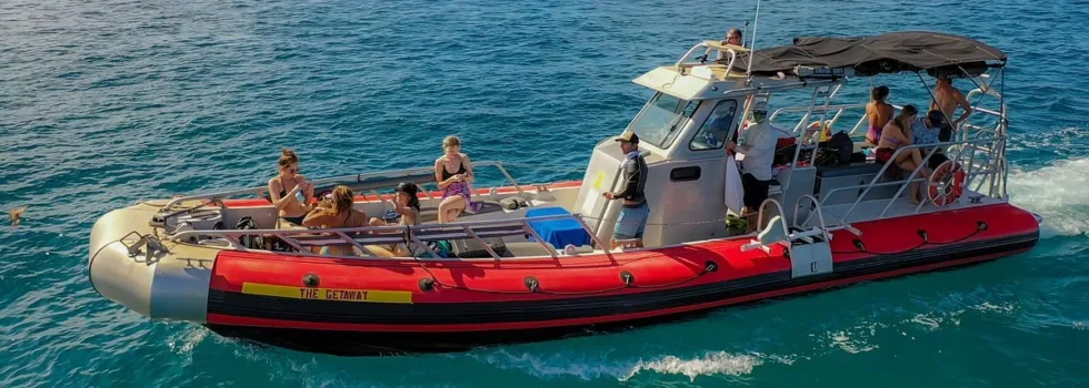 Comfortable speedboat maui