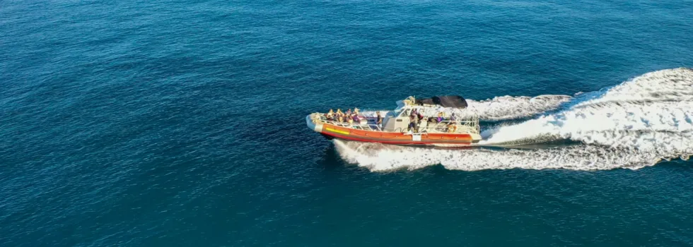 Kihei boat snorkel tour