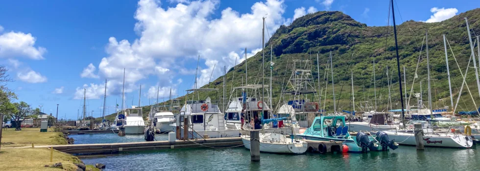 View of boats in nawiliwili harbor kauai