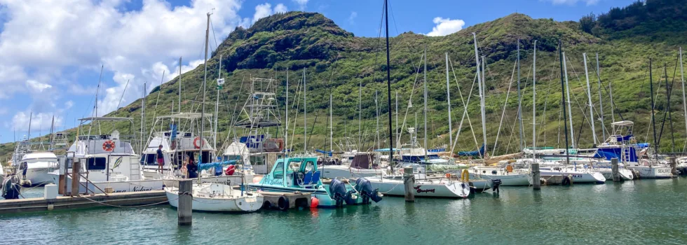 Nawiliwili harbor boat tours