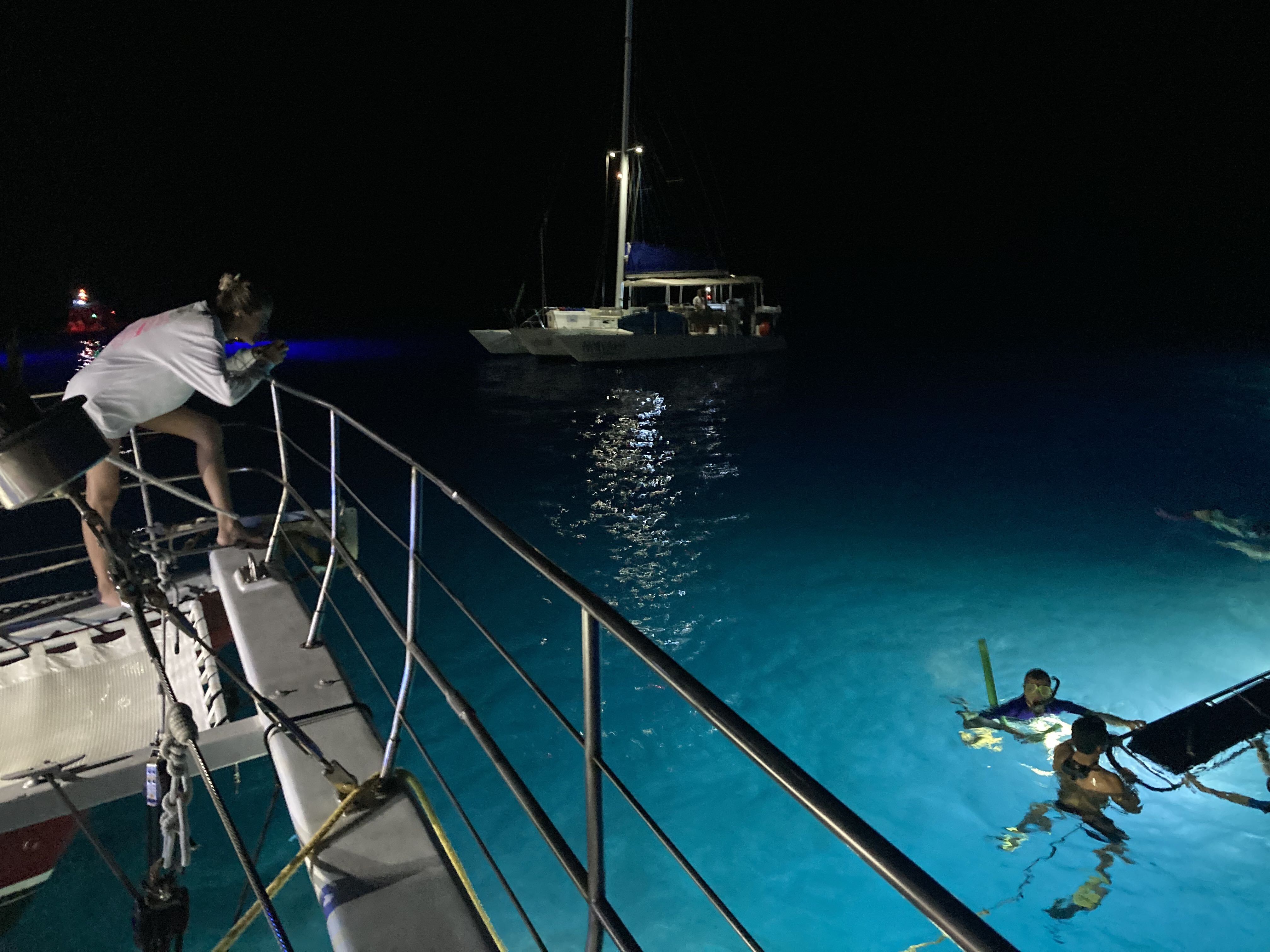 night snorkeling manta kona view