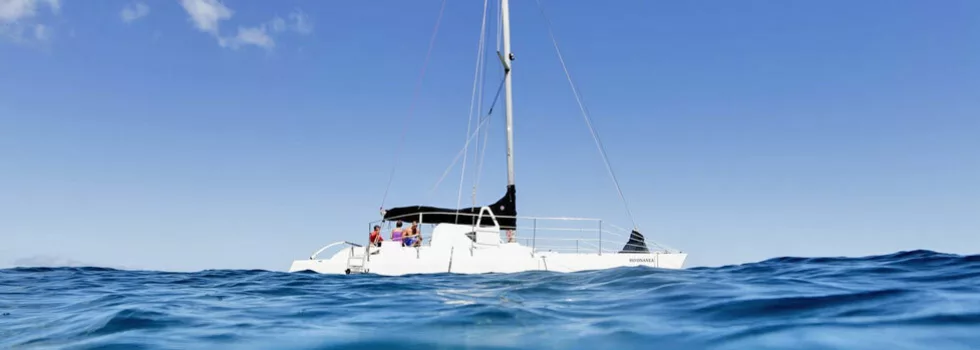 Haleiwa sail boat
