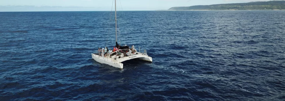 Haleiwa catamaran oahu