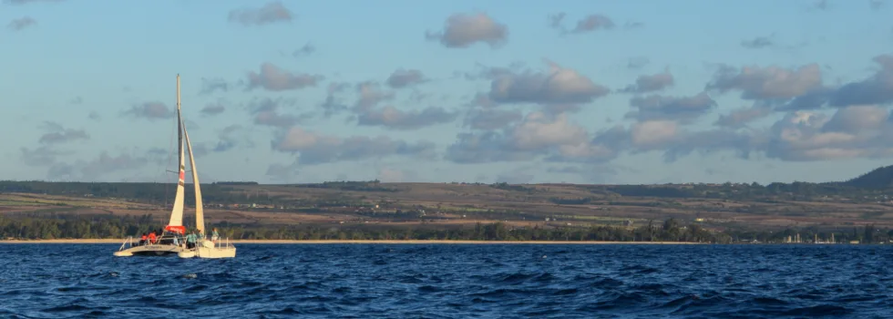 Catamaran sailing at sunset