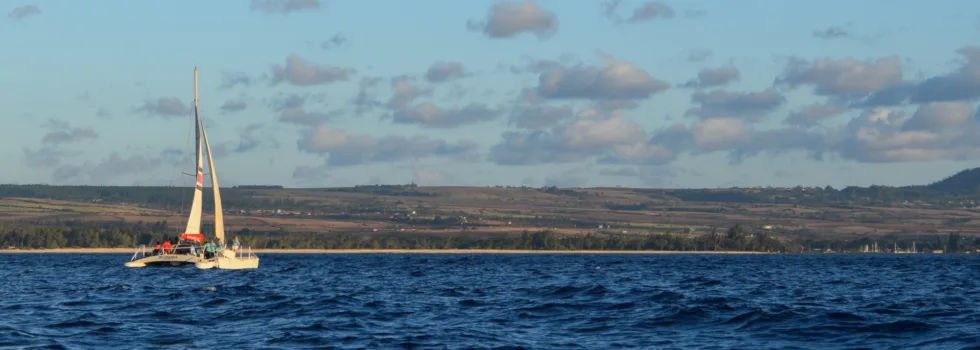 Catamaran sailing at sunset