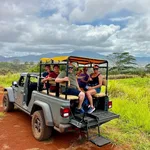 Local owned oahu jeep tour company in grassland