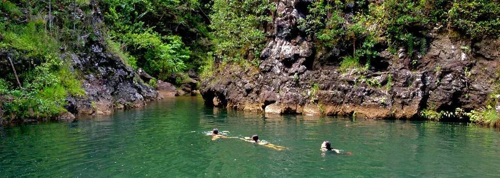 Hiking In The Jungle Hawaii