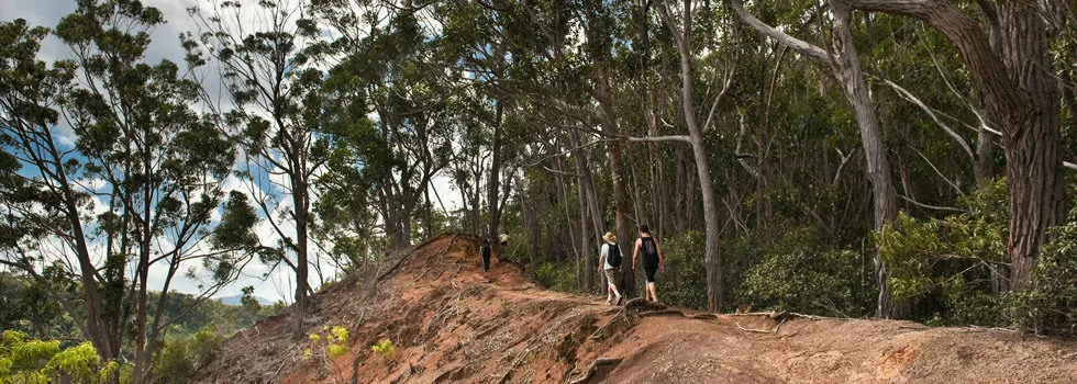 Oahu hawaii hiking tour
