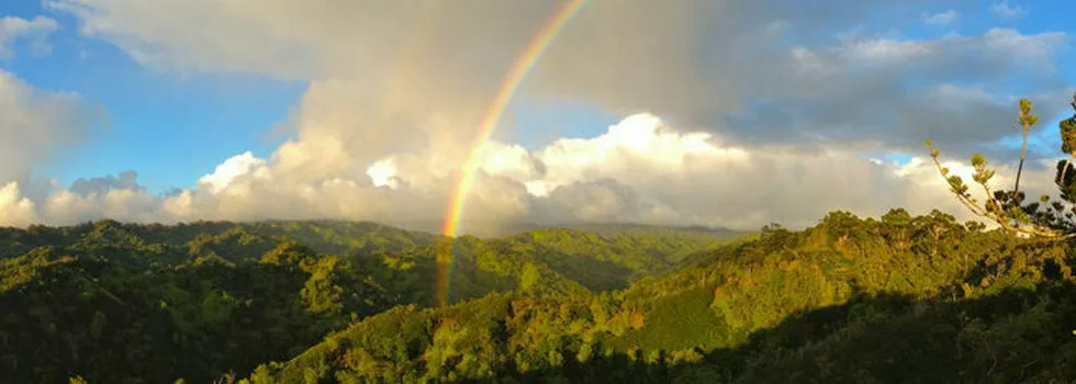 North Shore Hiking Tour