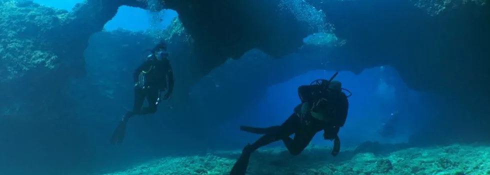 Lava tube cave dive sharks cove