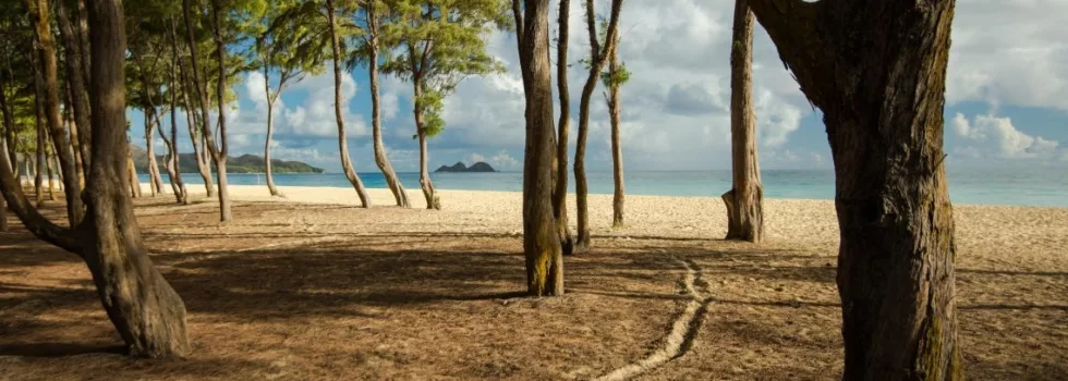 Secret beach photo tour hawaii