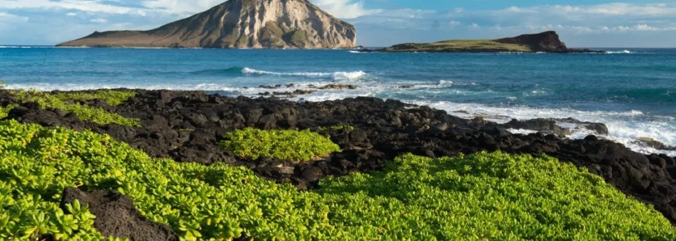 Learn photography tour hawaii