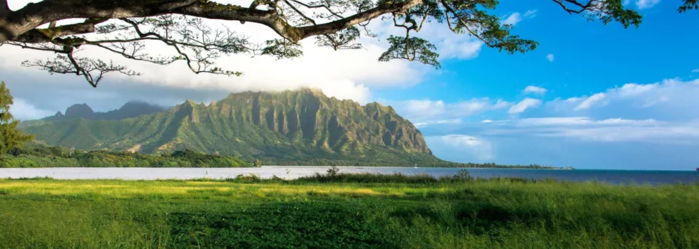 Oahu mountain sunrise tour