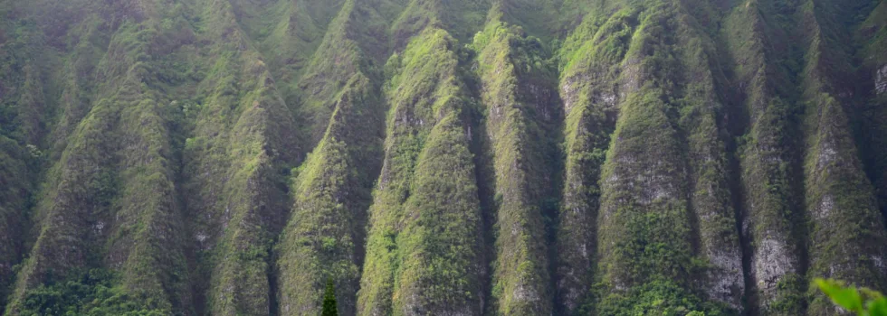 Koolau mountain range