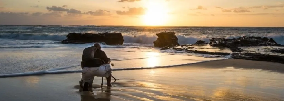 Sunrise oahu hawaii tour