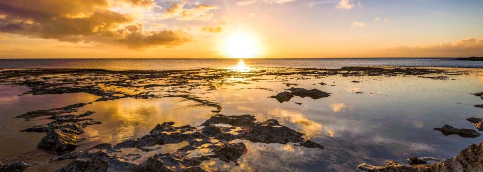Sunset over sharks cove