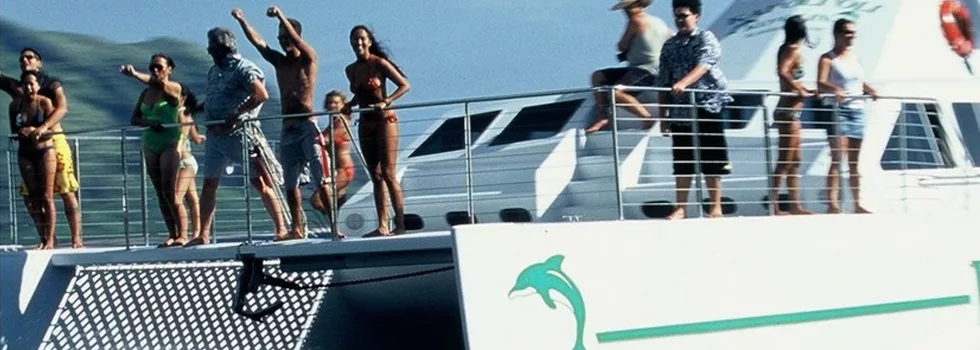 Dolphin Catamaran Hawaii