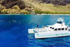 Ko'Olina Snorkel and Dolphin Catamaran: West oahu snorkel catamaran koolina