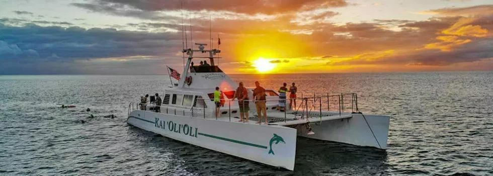 Dinner cruise near disney hotel resort