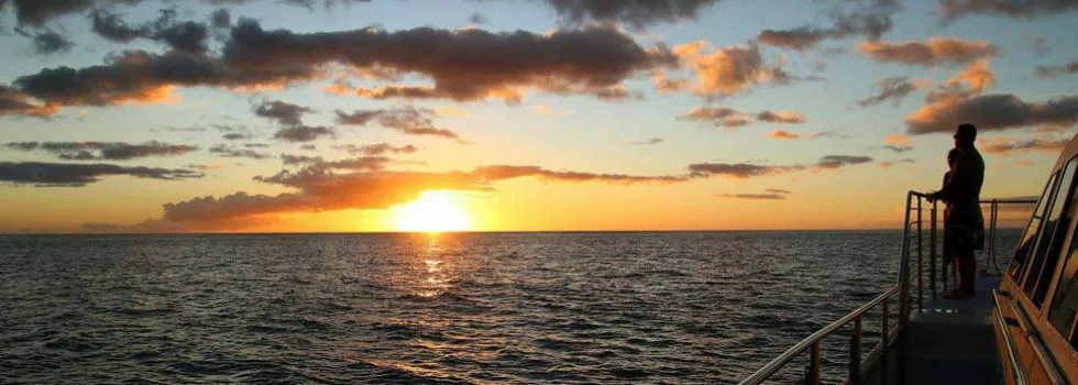 Disney hotel dinner cruise