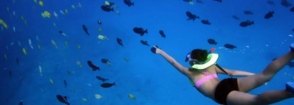 Snorkel boat disney hotel oahu