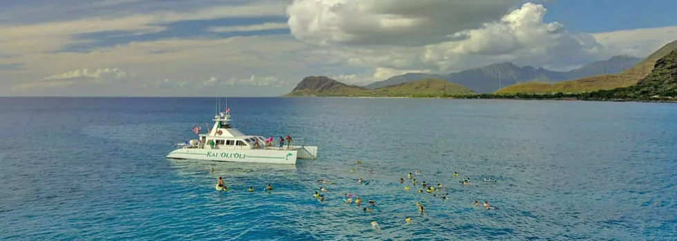 Snorkel cruise near disney resort hawaii
