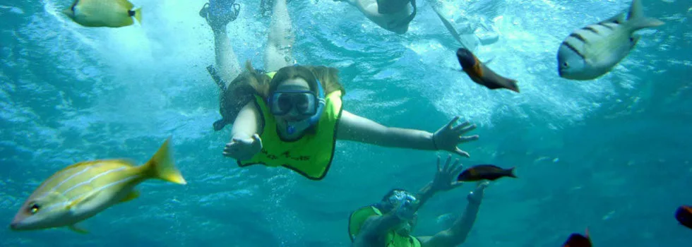 Snorkeling koolina