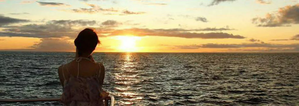 Sunset catamaran disney hotel oahu