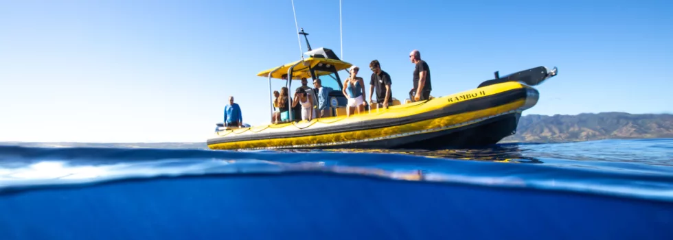 Speed charter rental hawaii