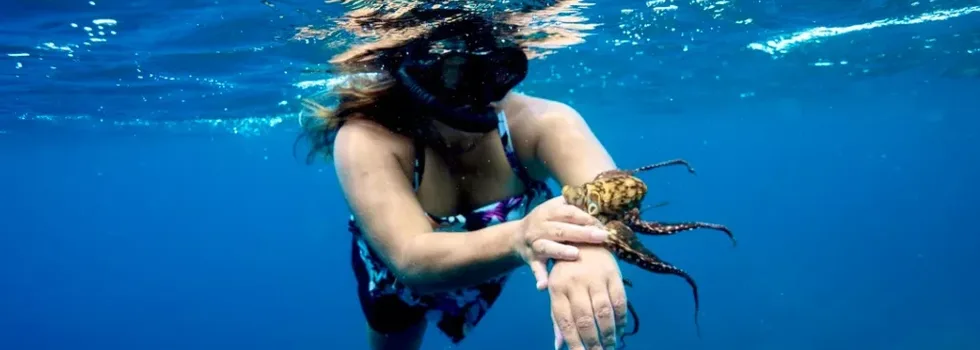 Octopus on womans arm haleiwa