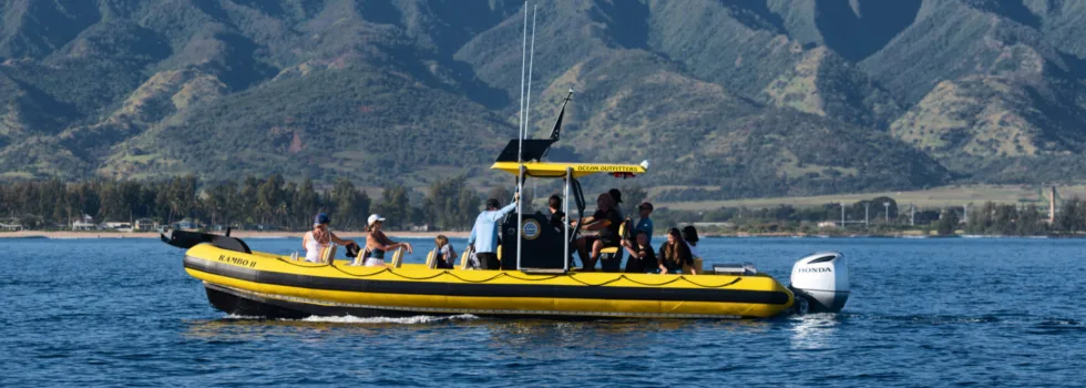 North shore oahu RIB kaala background