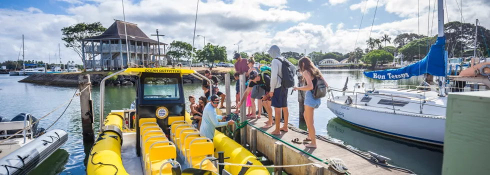 Haleiwa harbor boat tour