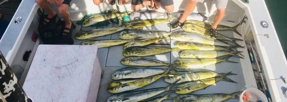 Best sport fishing boat hawaii