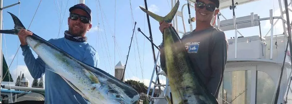Marlin fishing oahu