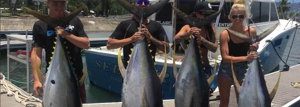 Tuna fishing north shore oahu
