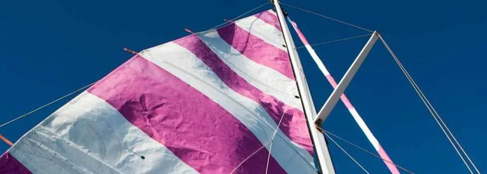 Pink sail boat waikiki
