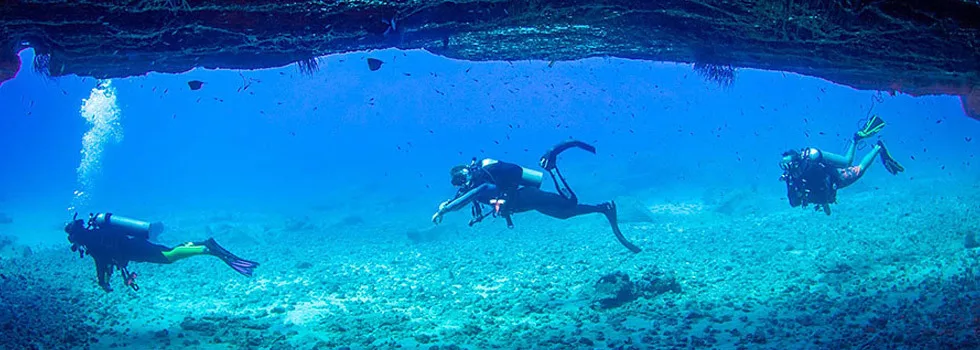 Scuba dive kauai