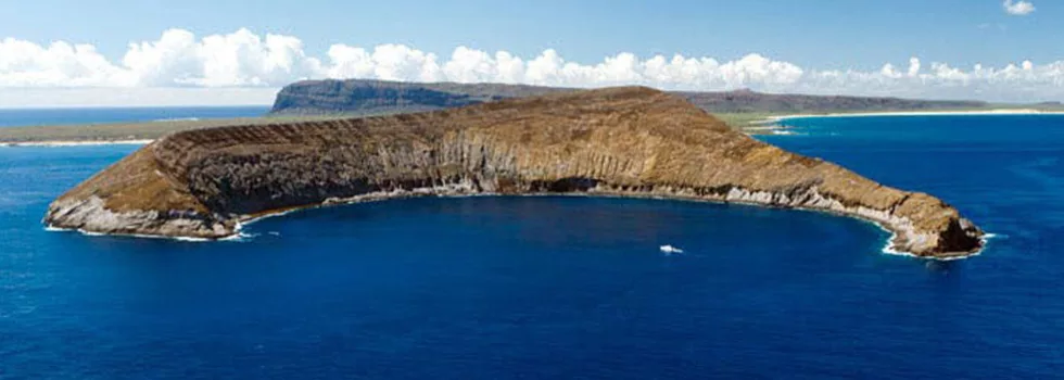 Best snorkel adventure in hawaii