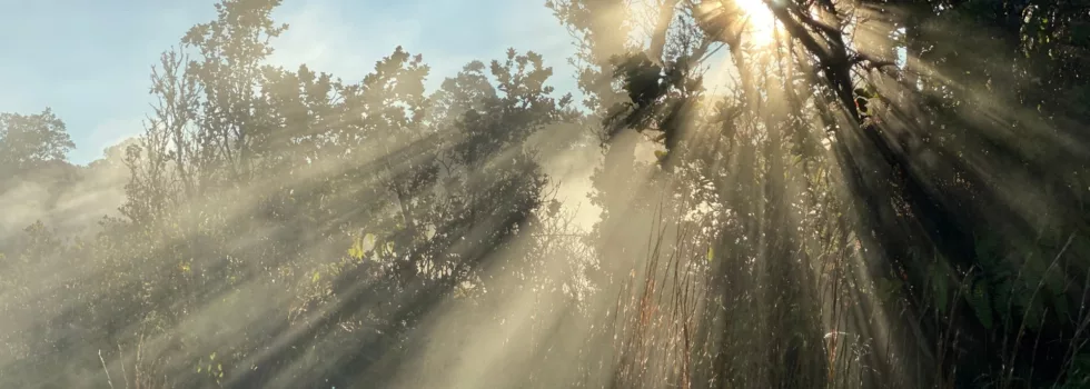 Private tour guide volcano national park hawaii