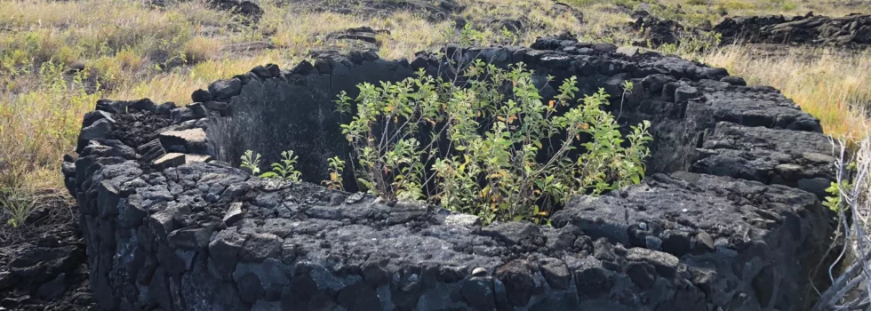 Private tour hawaii volcano park