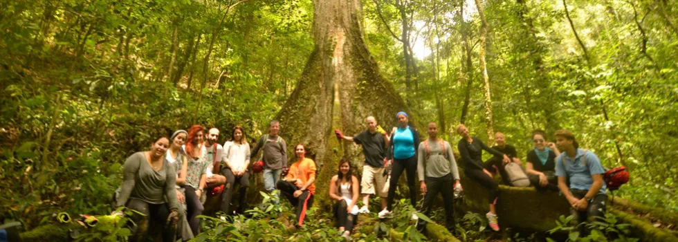 Puerto rico rainforest caves