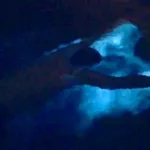 Bioluminescent bay thumb