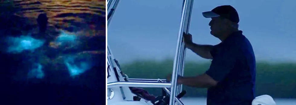 Boat to bioluminescent bay puerto rico