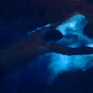 Bioluminescent Bay Snorkeling Boat