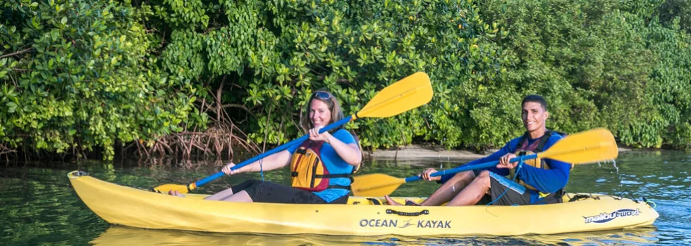 Bioluminescent glowing bay kayak