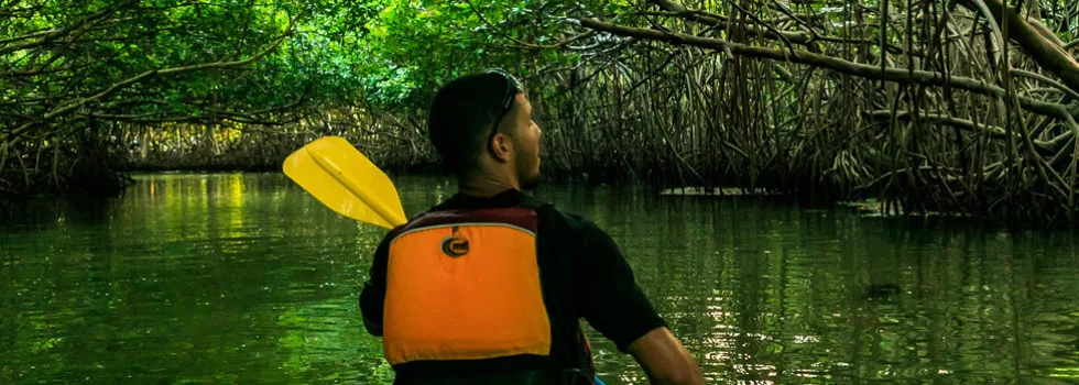 Kayak puerto rico jungle