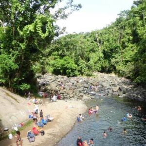 Puerto Rico Rainforest Tour in El Yunque