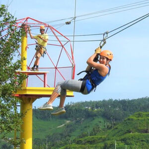 Rainforest Zipline Adventure Park