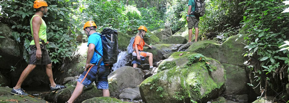 Rainforest hiking guide puerto rico