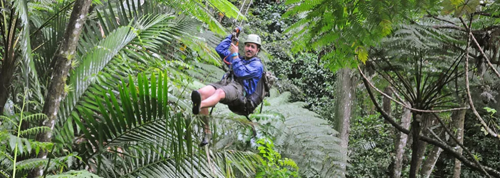 Zip line eco tour puerto rico
